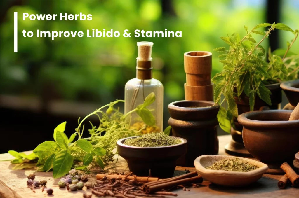 Power Herbs to Improve Libido & Stamina