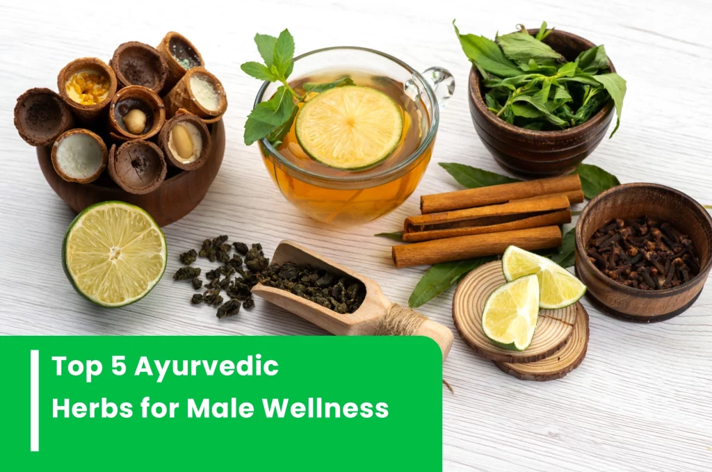 Top 5 Ayurvedic Herbs for Male Wellness