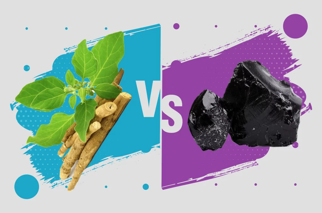 Ashwagandha vs. Shilajit: Which is Better?