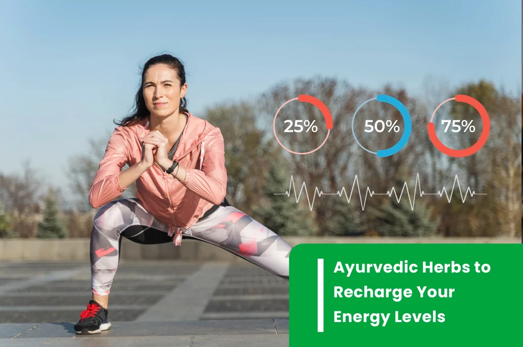 Ayurvedic Herbs to Recharge Your Energy Levels