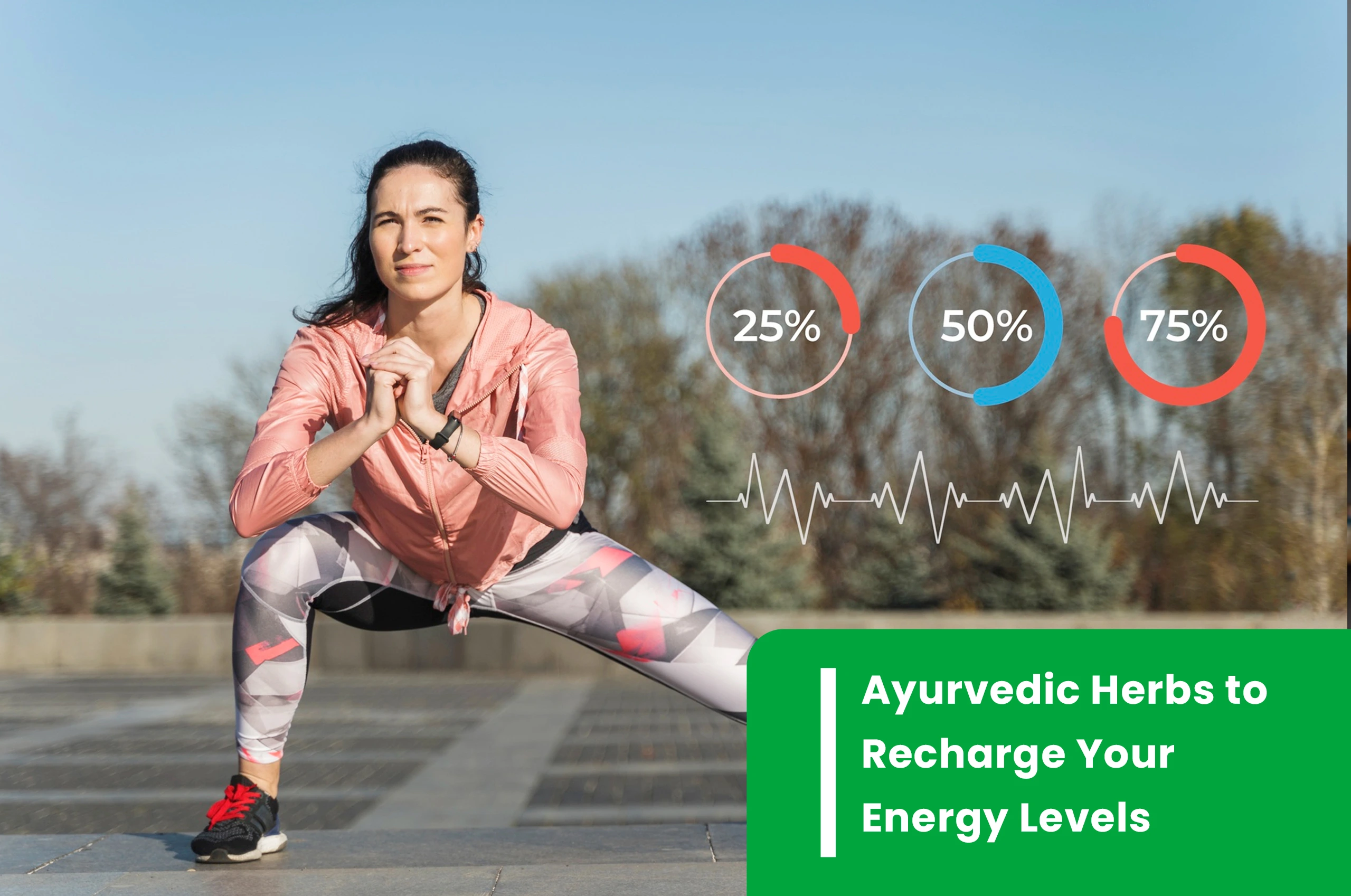Ayurvedic Herbs to Recharge Your Energy Levels