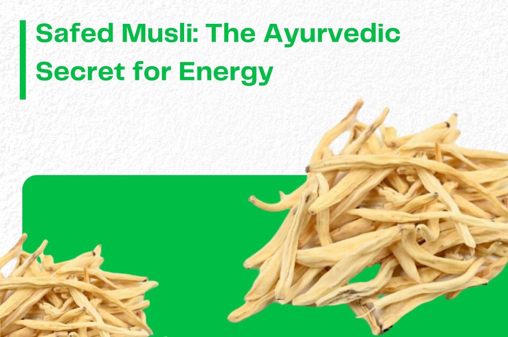 Safed Musli: The Ayurvedic Secret for Energy