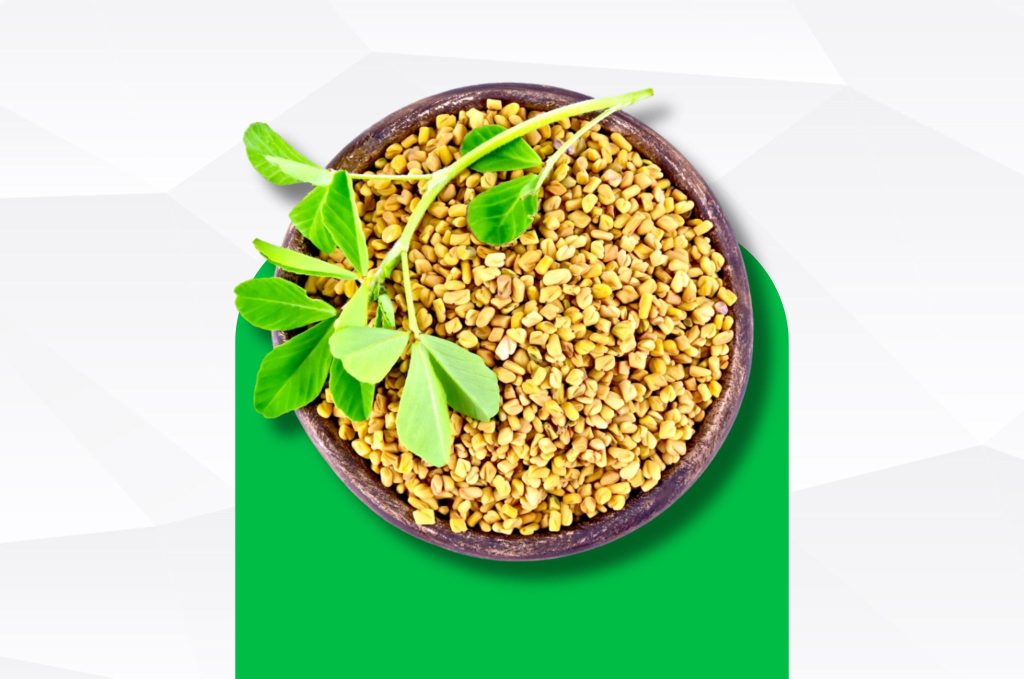 Fenugreek: The Natural Way to Boost Testosterone