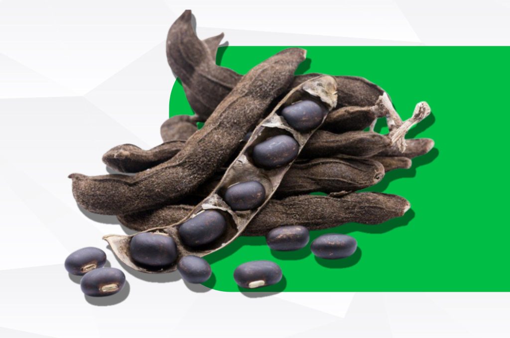 Kaunch Beej: The Ayurvedic Stamina Enhancer