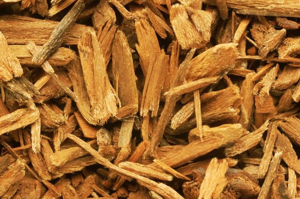 Yohimbe: The Herbal Solution for Improved Performance