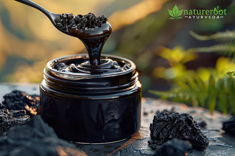 Shilajit Benefits for Men’s Sexual and Overall Health