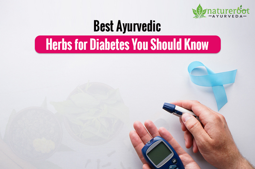 Best Ayurvedic Herbs for Diabetes You Should Know