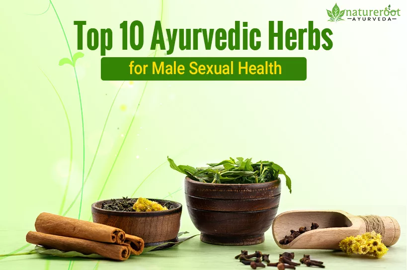 Top 10 Ayurvedic Herbs for Male Sexual Health